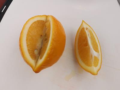 Zitronen in orange ...