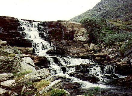 Am wilden Campingplatz (1) ... 