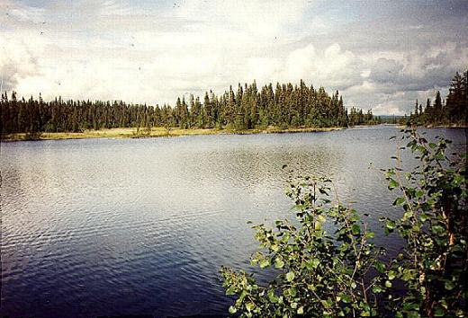 Landschaft zum Beerenpflcken ... 