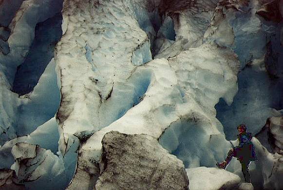 Gletscherameisen ... 