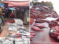 Fischmarkt Sidi Ifni ...