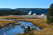 Im Yellowstone NP ...