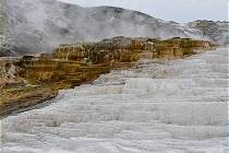Mehr rund um Mammoth Hot Springs