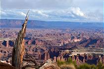 Canyonlands ...
