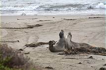Strand-Beziehungen ...