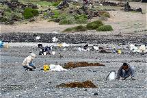 Einkunftsquelle: Steine sammeln ...