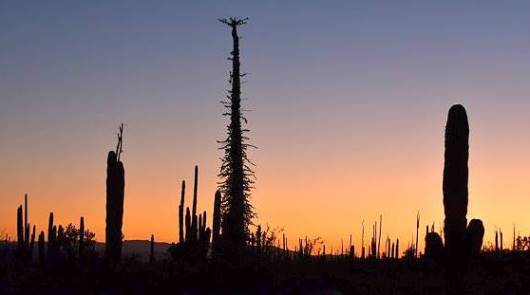 ... karge und fantastische Landschaften ...