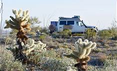 Noch einmal: Stellplatz zwischen Kakteen ...