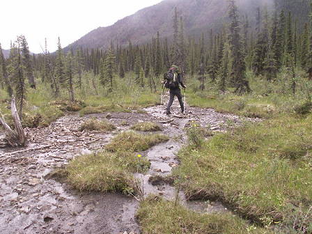 ... und durch sumpfiges Gelnde ...