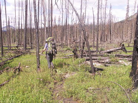 Trotz Hindernissen gutes Vorankommen ...
