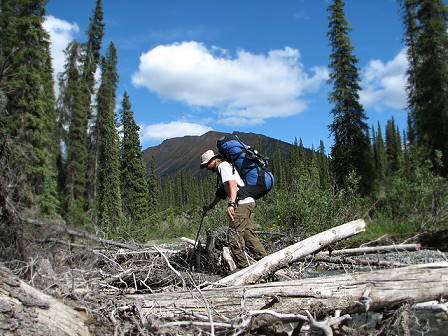 ... und andere Hindernisse ...