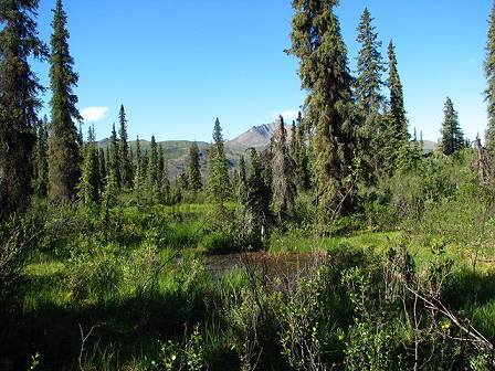 ... und noch immer bestes Wetter ...