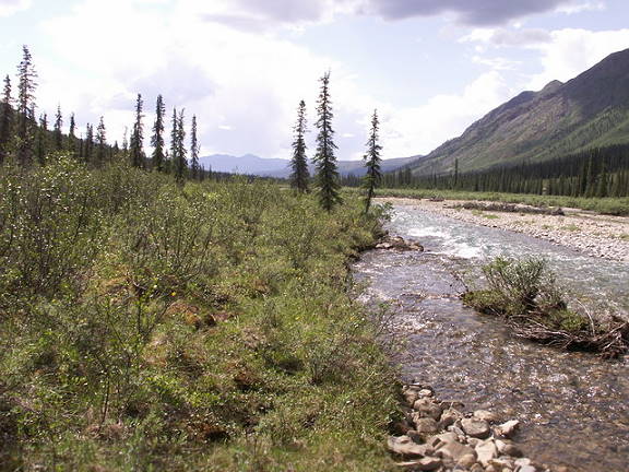 Weiter hinein ins Tal ...