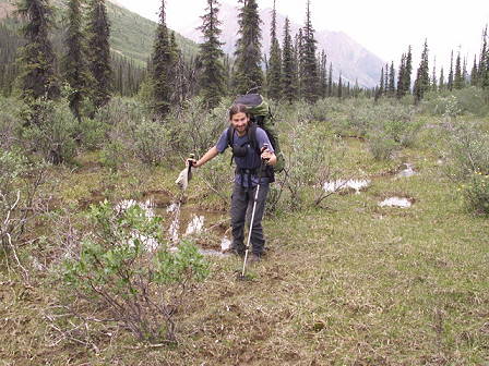 Das Gehen ist eine Freude ...