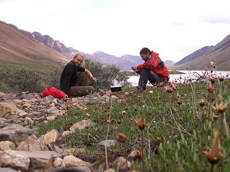 Das Holz reicht fr zwei Mahlzeiten ...