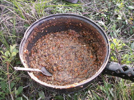 Mal "Alles" mit Zwiebeln, Bohnen, Beef, Gemse ...