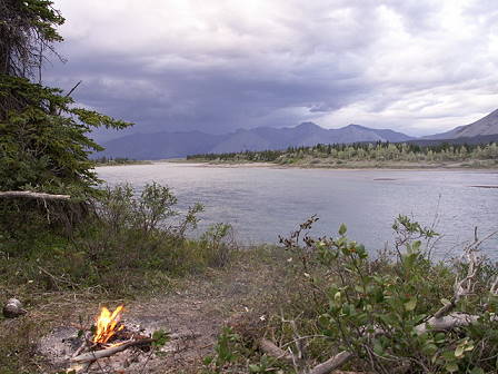 Ob die Fle funktionieren werden?