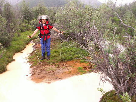 Merkwrdig gefrbte Bche ...