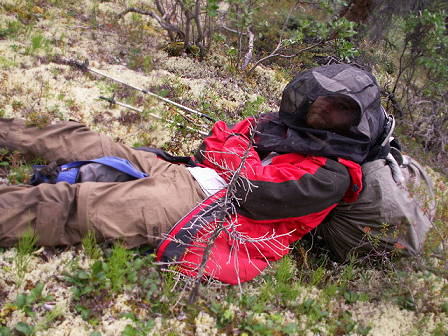 Moskitos als stndige Begleiter ...