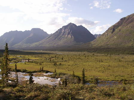 Fast schon kitschig schn ...