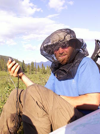 Die Moskitos werden immer schlimmer ...