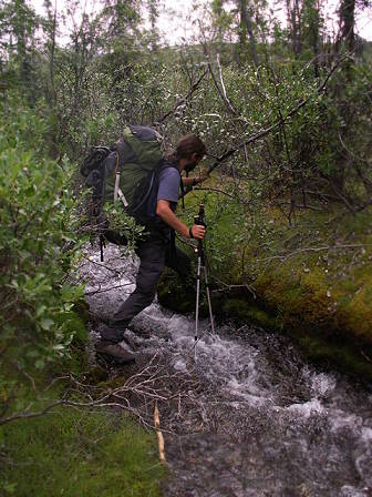 Durch Sumpflandschaft ...