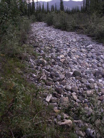 Bach ohne Wasser ..?