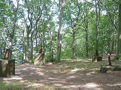 Schranken mitten im Wald ...