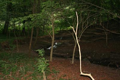 ... und ganz ohne Mcken