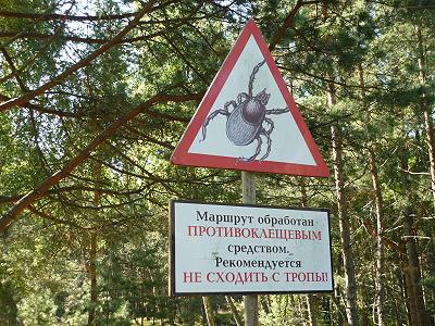 Eine echte Gefahr: die Zecken!