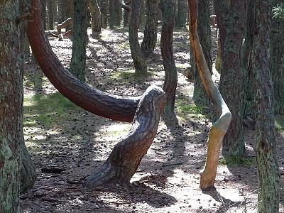 ... und hier wird gesteppt  ...