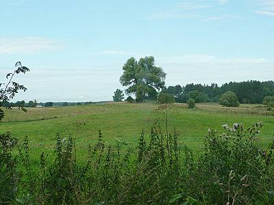 Hier kann man es aushalten ...