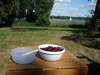 Alles da f�r den Sonntagskuchen ...