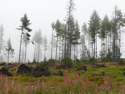Auch mit Wolken reizvoll ... Auch mit Wolken reizvoll ...