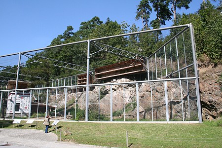 Das Projekt Waldrapp in Waidhofen ...