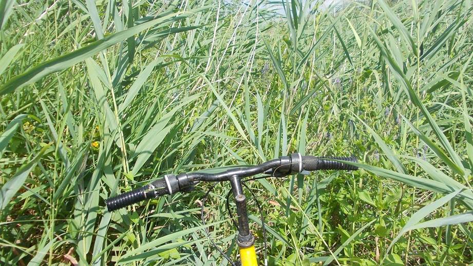 Machete mitnehmen! Machete mitnehmen!