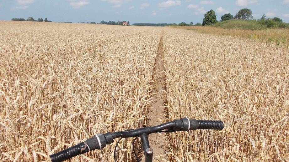Durch ein großes Feld ... Durch ein großes Feld ...