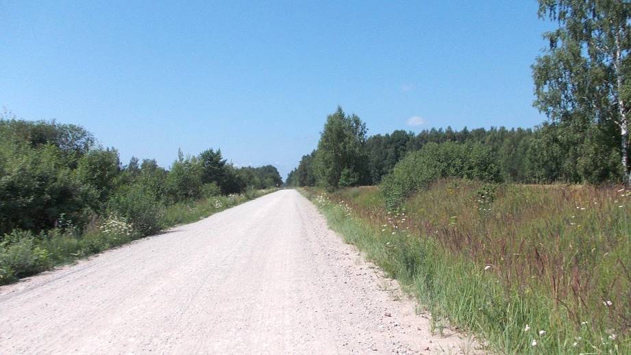 Weiter entlang der Waldpiste ...