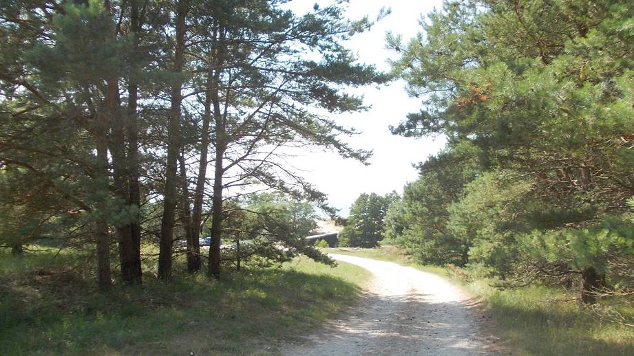 Nochmal kurz durch den Wald ... Nochmal kurz durch den Wald ...