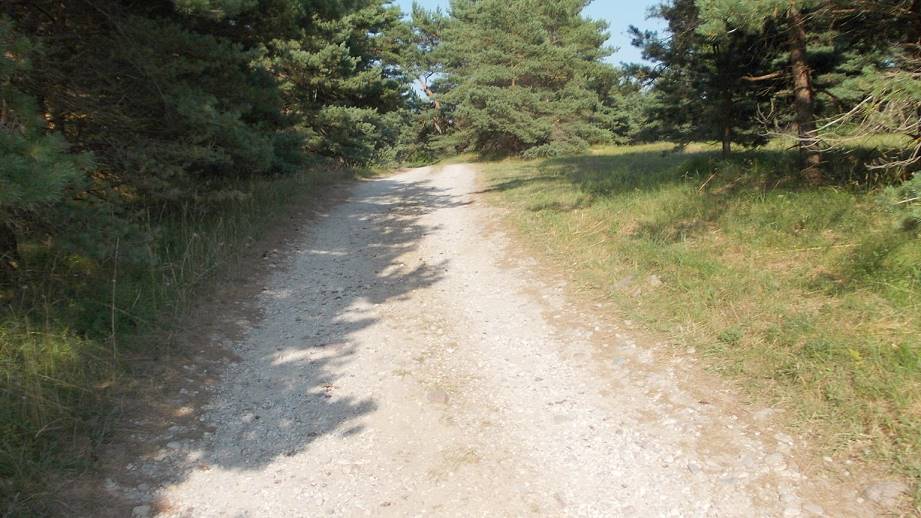 Der lange Weg zurück ... Der lange Weg zurück ...