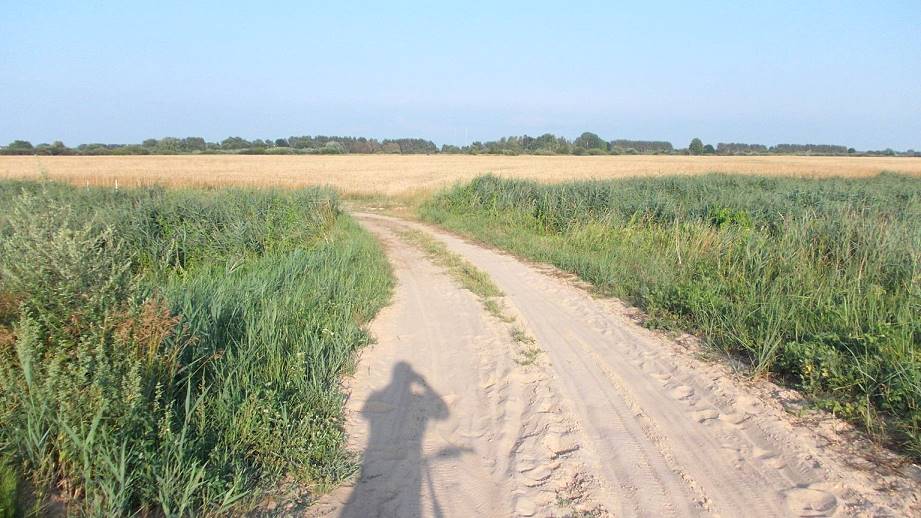 Wohin nun? Wohin nun?