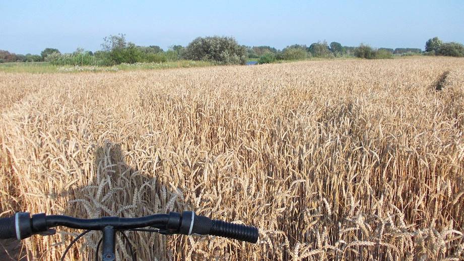 Erstmal querfeldein ... Erstmal querfeldein ...