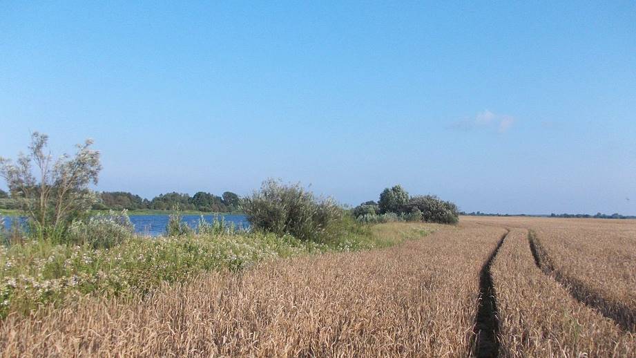 Die Spuren sind nicht von mir! Die Spuren sind nicht von mir!