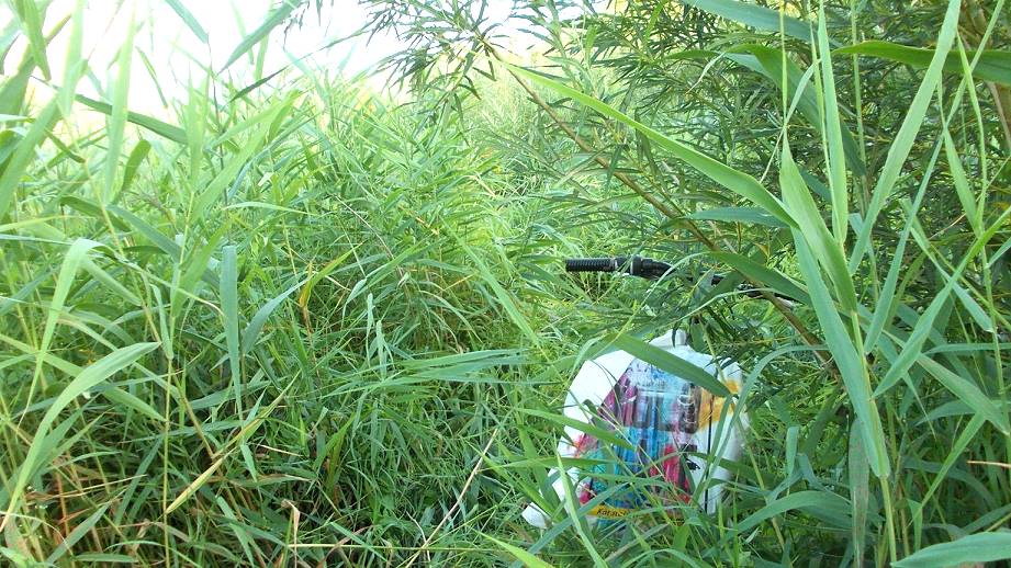 Wo genau liegt das Ding? Wo genau liegt das Ding?