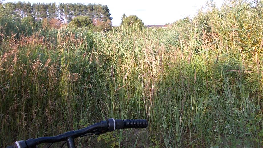 Hier könnte es bald sein ... Hier könnte es bald sein ...