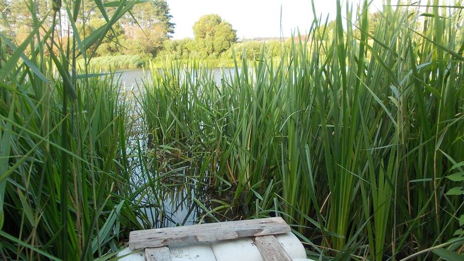 Na also, alles kein Problem! Na also, alles kein Problem!