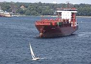 Vgel, Feeder, Segler ...