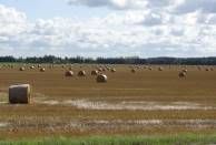 Durchs Baltikum wie man es liebt ...