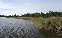 Explorer Suchbild: berfllt ist das Camp derzeit nicht ...