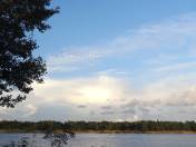 Wir sind nicht die einzigen Lebewesen am Platz ...